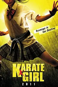 Главный постер фильма «Каратистка (2011)»