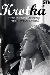 Постер к фильму «Кроткая (1967)»