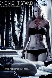 Главный постер фильма «Встреча на одну ночь (2010)»