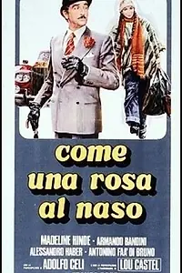 Главный постер фильма «Как роза у носа (1976)»