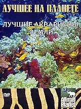 Постер к фильму «Animal Planet: Лучшее на планете. Лучшие аквариумы земли (2006)»