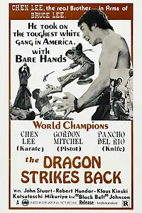 Постер к фильму «Меня зовут Шанхайский Джо (1973)»