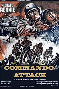 Постер к фильму «Леопарды Черчилля (1970)»