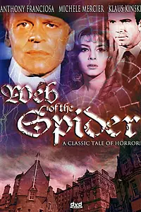 Постер к фильму «В объятиях паука (1971)»
