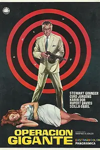 Главный постер фильма «Тайна желтых монахов (1966)»
