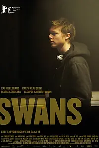Постер к фильму «Лебеди (2011)»
