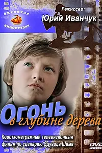 Постер к фильму «Огонь в глубине дерева (1978)»