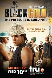 Постер к сериалу «Черное золото (2008)»