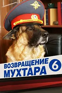 Постер к сериалу «Возвращение Мухтара 6 (2009)»