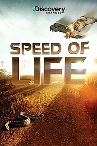Главный постер сериала «Discovery: Скорость жизни (2010)»