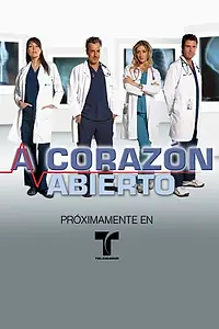 Постер к сериалу «На открытом сердце (2010)»