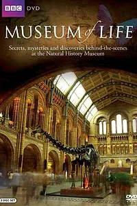 Постер к сериалу «Museum of Life (2010)»
