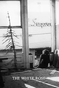 Главный постер фильма «Белая роза (1967)»