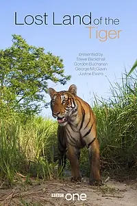Главный постер сериала «Lost Land of the Tiger (2010)»