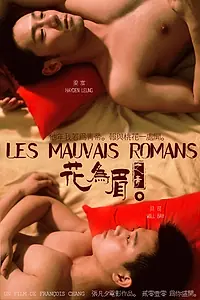 Постер к фильму «Неважный роман (2011)»