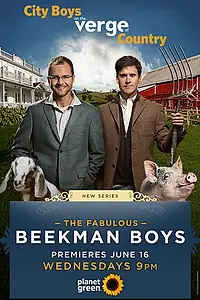 Главный постер сериала «The Fabulous Beekman Boys (2010)»