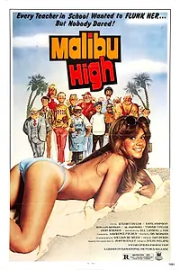 Постер к фильму «Школа Малибу (1979)»