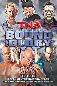 Постер к фильму «TNA Предел для славы (2010)»