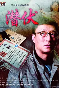 Постер к сериалу «Под прикрытием (2009)»