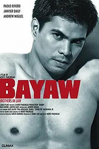 Постер к фильму «Сводные братья (2009)»