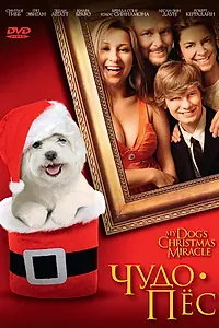 Постер к фильму «Чудо-пес (2011)»