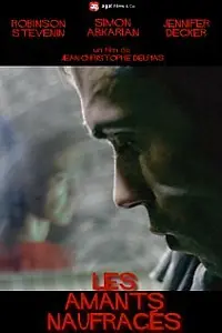 Главный постер фильма «Разбившаяся любовь (2010)»