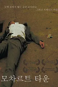 Постер к фильму «Город Моцарта (2008)»