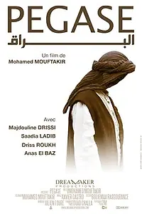 Постер к фильму «Пегас (2010)»