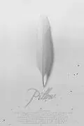 Постер к фильму «Pillow (2010)»