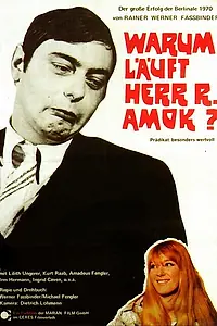 Постер к фильму «Почему рехнулся господин Р? (1970)»