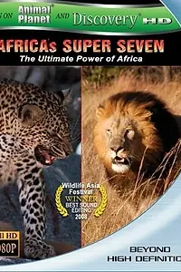 Главный постер фильма «Великолепная семерка Африки (2005)»