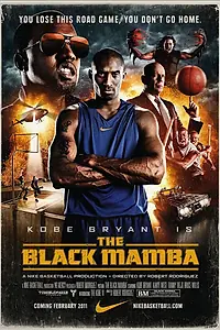 Постер к фильму «Черная мамба (2010)»