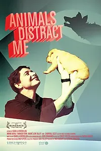 Главный постер фильма «Животные меня отвлекают (2011)»