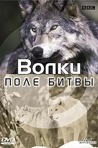 Постер к сериалу «BBC: Поле битвы (2003)»