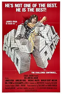 Главный постер фильма «Убить дважды (1981)»