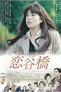 Постер к фильму «Долина мечты (2011)»