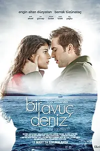 Главный постер фильма «Море на ладони (2011)»