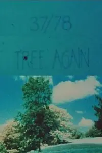 Постер к фильму «37/78: Tree Again (1978)»