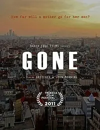 Постер к фильму «Пропавший: Исчезновение Аэрина Гиллерна (2011)»