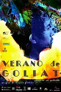 Постер к фильму «Лето Голиафа (2010)»