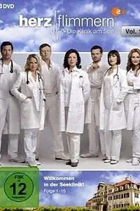 Постер к сериалу «Клиника на озере (2011 - 2012)»