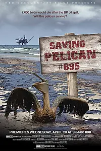 Постер к фильму «Saving Pelican 895 (2011)»