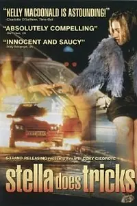 Главный постер фильма «Стелла плетет интриги (1996)»