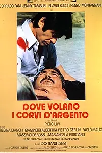 Постер к фильму «Где летают серебристые вороны (1977)»