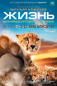Главный постер фильма «Жизнь (2011)»