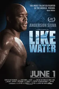 Постер к фильму «Как вода (2011)»