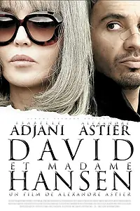 Постер к фильму «Давид и мадам Ансен (2012)»