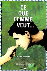 Постер к фильму «Все что хочет женщина (1993)»