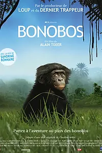 Постер к фильму «Бонобо (2011)»