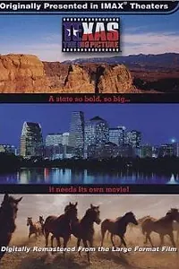 Постер к фильму «Texas: The Big Picture (2003)»